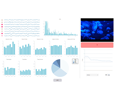 Real-time neurofeedback