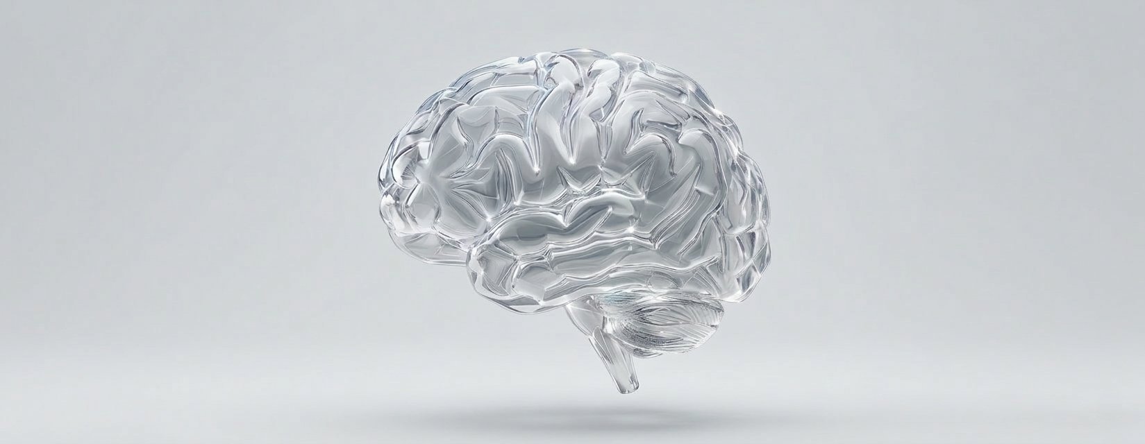 Brain visualization